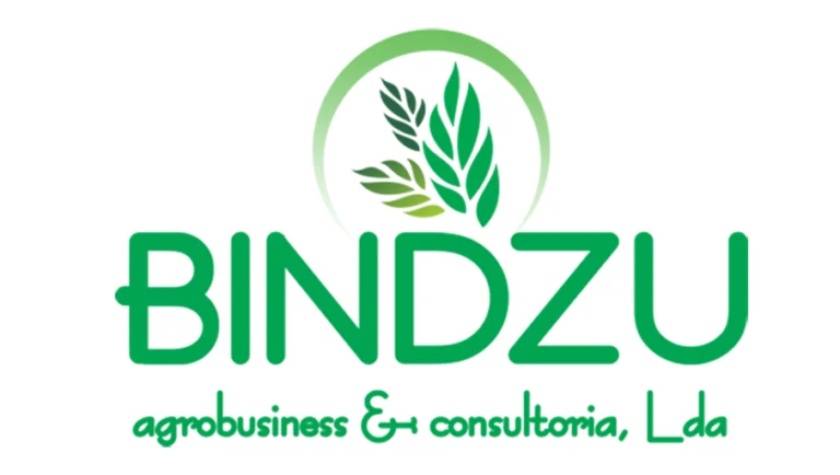 logo-bindzu